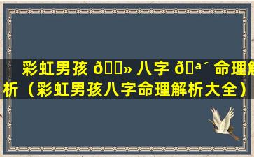 彩虹男孩 🌻 八字 🪴 命理解析（彩虹男孩八字命理解析大全）